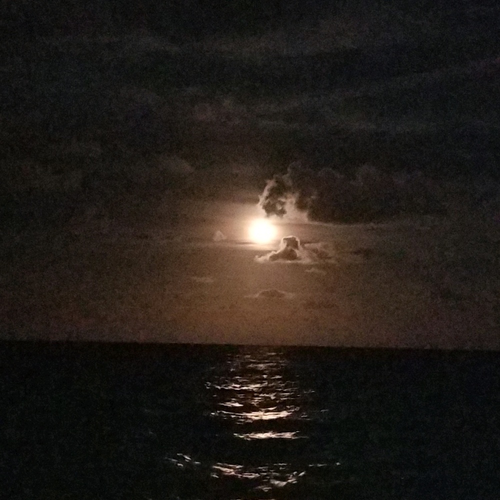 Meet your Posher, Jazmin